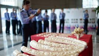 �й��������������������˽��ն����˽����